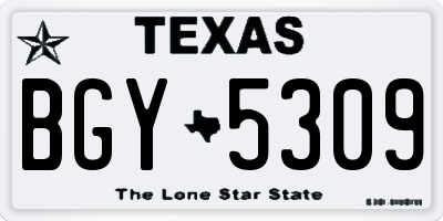 TX license plate BGY5309