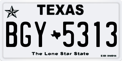 TX license plate BGY5313