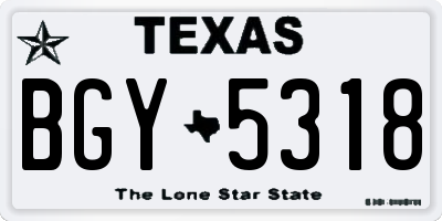 TX license plate BGY5318