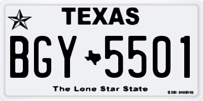 TX license plate BGY5501