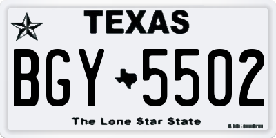 TX license plate BGY5502