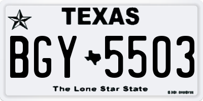 TX license plate BGY5503