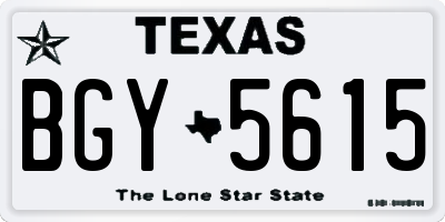 TX license plate BGY5615