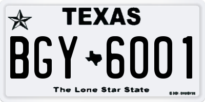 TX license plate BGY6001