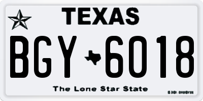 TX license plate BGY6018