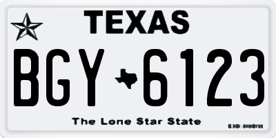 TX license plate BGY6123