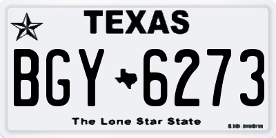 TX license plate BGY6273