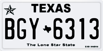 TX license plate BGY6313
