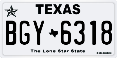 TX license plate BGY6318