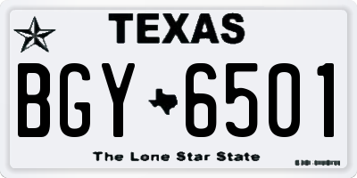 TX license plate BGY6501