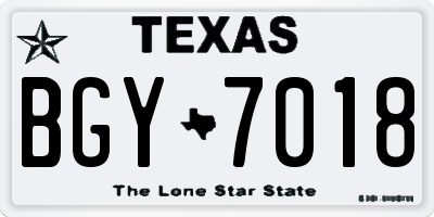 TX license plate BGY7018