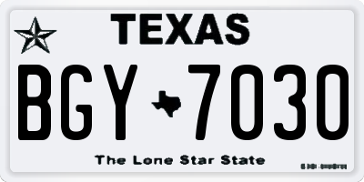 TX license plate BGY7030