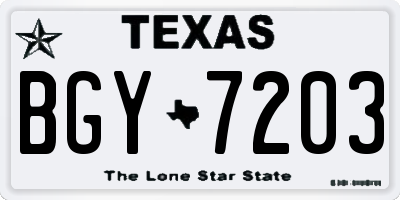 TX license plate BGY7203