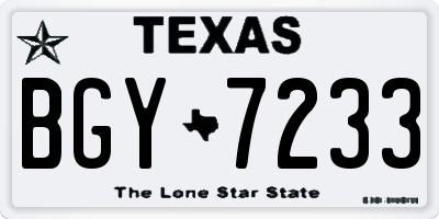TX license plate BGY7233