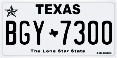 TX license plate BGY7300