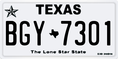 TX license plate BGY7301