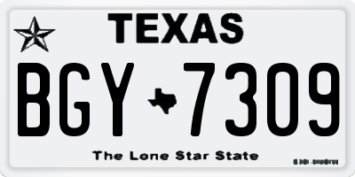 TX license plate BGY7309