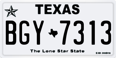 TX license plate BGY7313