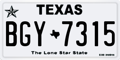 TX license plate BGY7315