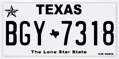 TX license plate BGY7318
