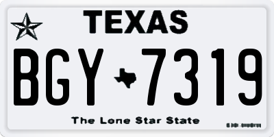 TX license plate BGY7319