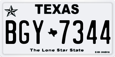 TX license plate BGY7344