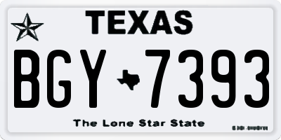 TX license plate BGY7393