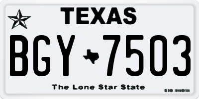 TX license plate BGY7503