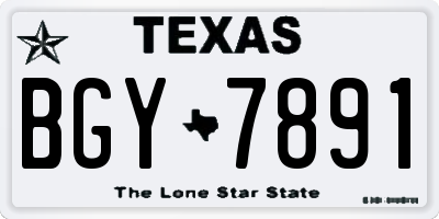 TX license plate BGY7891