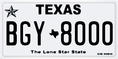 TX license plate BGY8000