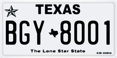 TX license plate BGY8001