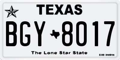 TX license plate BGY8017