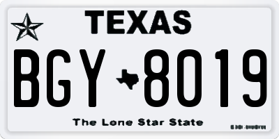 TX license plate BGY8019