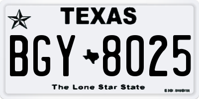 TX license plate BGY8025