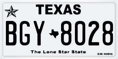 TX license plate BGY8028