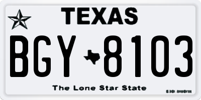 TX license plate BGY8103