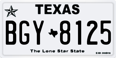 TX license plate BGY8125
