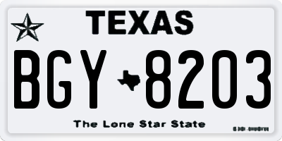 TX license plate BGY8203