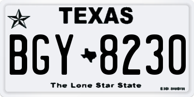TX license plate BGY8230