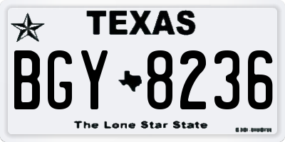 TX license plate BGY8236