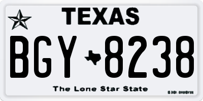 TX license plate BGY8238