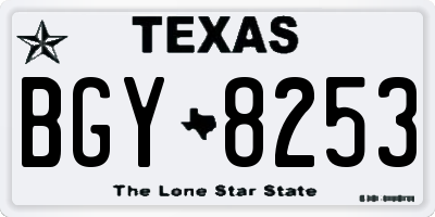 TX license plate BGY8253