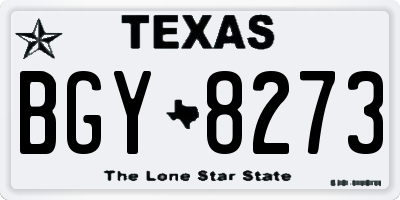 TX license plate BGY8273
