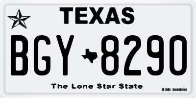 TX license plate BGY8290