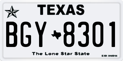 TX license plate BGY8301