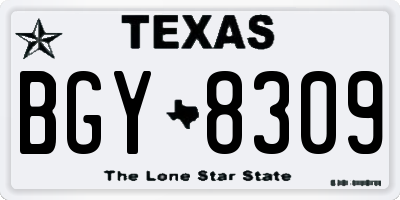 TX license plate BGY8309