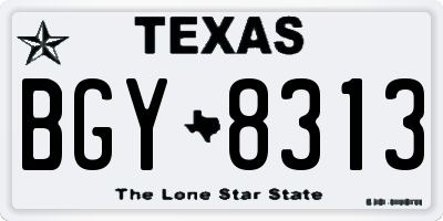 TX license plate BGY8313