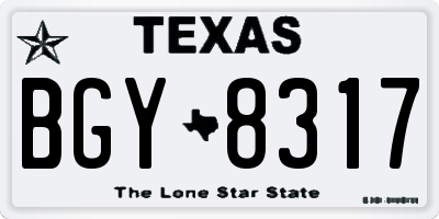 TX license plate BGY8317
