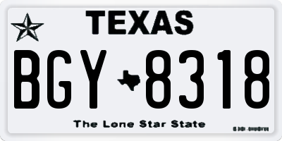 TX license plate BGY8318