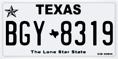 TX license plate BGY8319